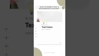 Text & Color Options 🌈 for your Notion pages! 