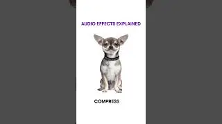 🔊 Audio effects explained!