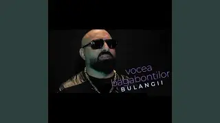 BULANGII (feat. Vocea Bagabontilor)