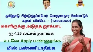 தமிழக அரசின் தனிநபர் கடன் திட்டம் | தமிழக அரசின் குழு கடன் திட்டம் | Tricky world