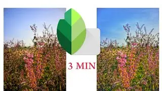 How to enhance photo on Snapseed app. Make your photo more attractive using snapseed.