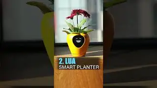 Best Smart Flowerpots in 2024 - New Technology - Artificial Intelligence - Smart Gadgets - AI