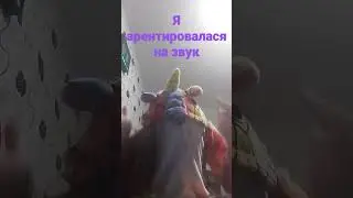 Зач я спалилась?!