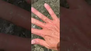 THIS is Why YOU NEVER Play With Sand PIRANHAS! 