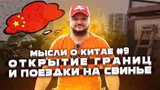 ПОЕЗДКИ НА СВИНЬЕ и ОТКРЫТИЕ ГРАНИЦ. Мысли о Китае #9