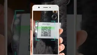 Best free QR scanner & creator-All QR Scanner