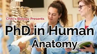 All About PhD in Human Anatomy || Fees, Colleges, Duration, Entrances || Detailed Video..By Chiki's