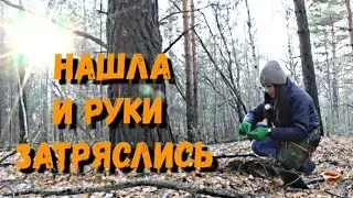 Обнаружила в лесу деревню, а там много находок. В поисках клада езжу сюда и монеты не кончаются