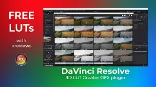 LUT Manager in DaVinci Resolve. FREE LUTs with previews in 3DLUTCreator OFX plugin.