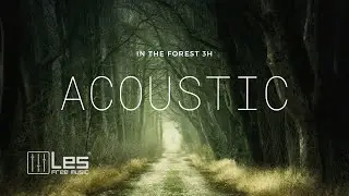 In The Forest 3H  : Study Sleep Relax Acoustic Background Music