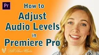 How to ADJUST AUDIO LEVELS in Premiere Pro