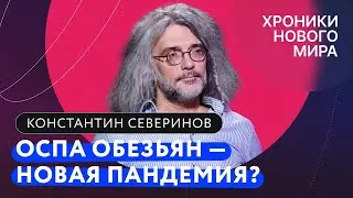 Оспа обезьян: как передается, как лечить и что будет, если придет в Россию. Константин Северинов