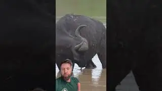 Taking One For The Team
