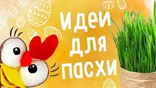 DIY: ПАСХАЛЬНЫЙ ДЕКОР. Идеи для пасхи. Как вырастить травку дома?