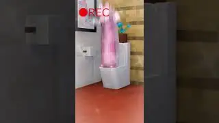 When you record Bling Bang Bang Born in the bathroom 
