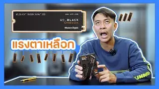 WD BLACK SN850X SSD M.2 Gen4 แรงตาเหลือก Speed 7300/6600