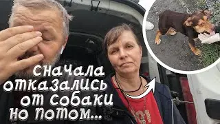 Собака кусала всех, отказались и отдали нам, но через 3 дня...