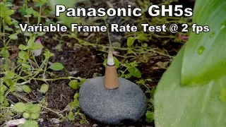 Variable Frame Rate test @ 2 fps w/ GH5s.