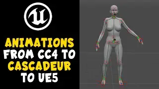 Export CC4 Characters to Animate with Cascadeur & Export to UE5 Unreal Engine