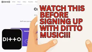 Should You Use Ditto For Music Distribution  | Music Industry Advice