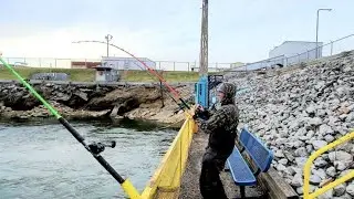 Bank Fishing for Catfish and Striped Bass at a HUGE Steam Plant