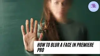 How to BLUR a face in Premiere Pro