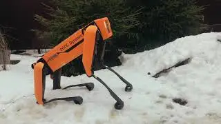Big dog spot robot самодельный робот своими руками