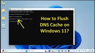 How to Flush DNS Cache on Windows 11?