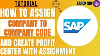 How To Assign Company to Company Code and Create Profit Center with Assignment