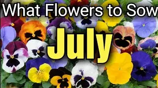 What FLOWERS to Sow  in July | Gardening for Beginners