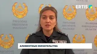 Алиментные обязательства