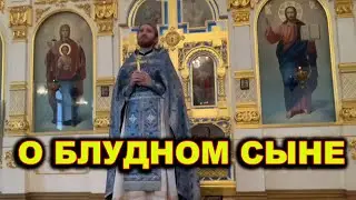 Неделя о блудном сыне. о. Антоний Витвицкий