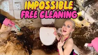 FREE CLEANING FAIL 😱