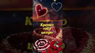 ✨️ Спокойной ночи, любовь моя! ❤️ Крепко целую! 💋 Желаю самых нежных снов! 🥰 #shorts