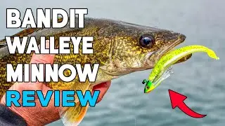 Bandit Walleye Minnow Review - Ultimate Jerkbait Fishing Lure? [2023]