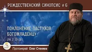 Рождественский синопсис #6. Поклонение пастухов Богомладенцу (Лк. 2:15-20). Протоиерей Олег Стеняев