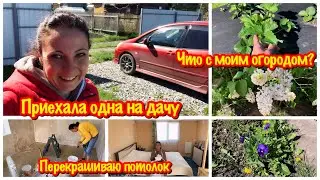 ПРИЕХАЛА ОДНА НА ДАЧУ/ЧТО С МОИМ ОГОРОДОМ ПОСЛЕ ЗАМОРОЗКОВ ?😱/РЕМОНТ В ДОМЕ/ПЕРЕКРАШИВАЮ ПОТОЛОК