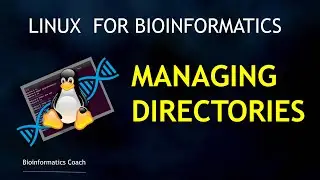 Introduction to Linux for Bioinformatics | Managing Directories | Create and Manage