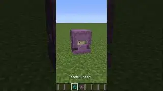 what's inside the shulker ?