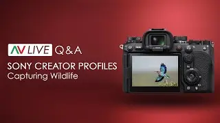 Sony Creator Profiles - Pro Wildlife Content - Live Workshop + Q&A