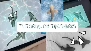 TUTORIAL ON THE SHARKS! 🦈  {request by: @maddies_spamz} / D_ART❤️