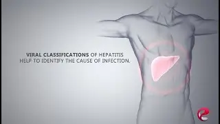 Hepatitis short animation