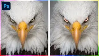 Changing Eye Color in Adobe Photoshop