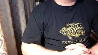 Как читать чужие сообщения любом мессенджере ВК, Инстаграм, Вацап, вайбер, Одноклассники в 2022 г