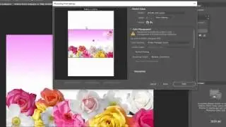 Tips To Print Actual Colors In Adobe Photoshop Printing