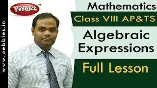 Full Lesson : Algebraic Expressions | Mathematics | Class 8 | AP&TS Syllabus