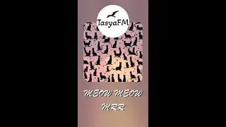 MEOW MEOW MRR song | Ai Creator