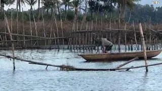 The man casts a net to catch fish in the river.