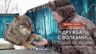 Ручные волки. Сюжет программы «Жизнь своих» 