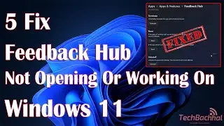 Feedback Hub Not Opening Or Working On Windows 11 - 5 Fix How To